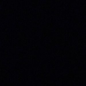 Meet your Posher, Leilani